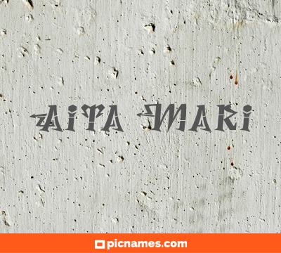 Aita Mari